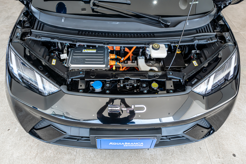 BYD DOLPHIN MINI 38 KW ELÉTRICO GS 6