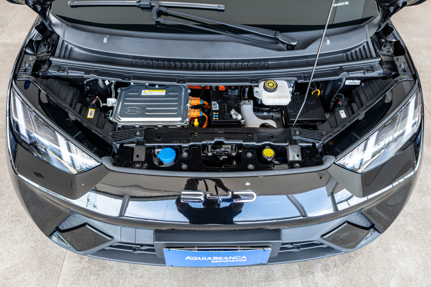 BYD DOLPHIN MINI 38 KW ELÉTRICO 6