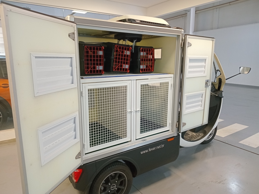 fever fr 250 i/rap bange fr250 eletrico automatico 2023