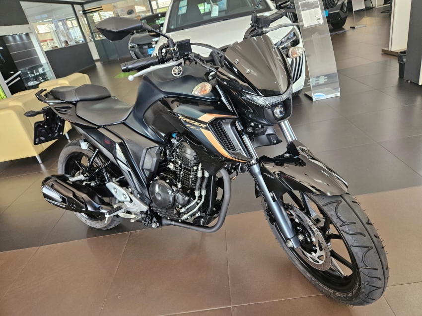 yamaha fazer fz25 250 flex manual 2024