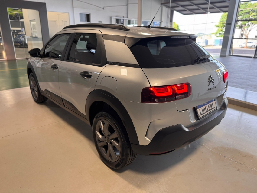 c4 cactus feel c4 cactus feel