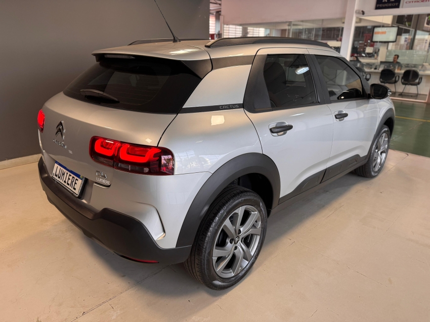 c4 cactus feel c4 cactus feel
