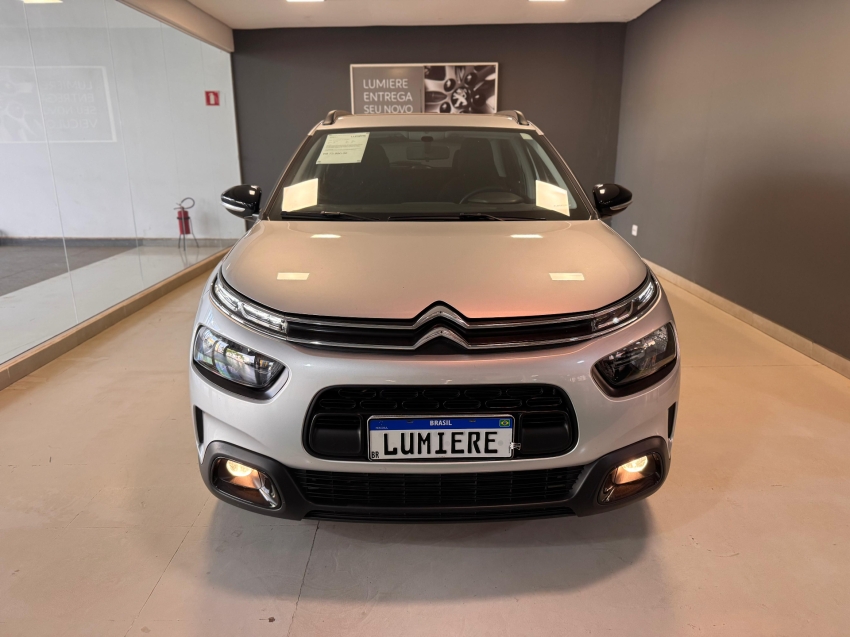 c4 cactus feel c4 cactus feel