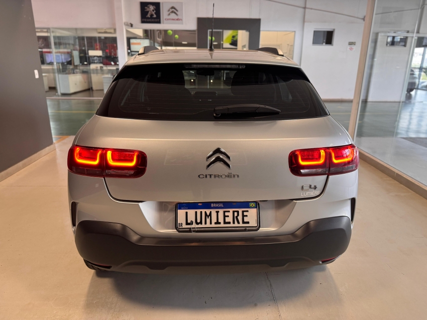 c4 cactus feel c4 cactus feel