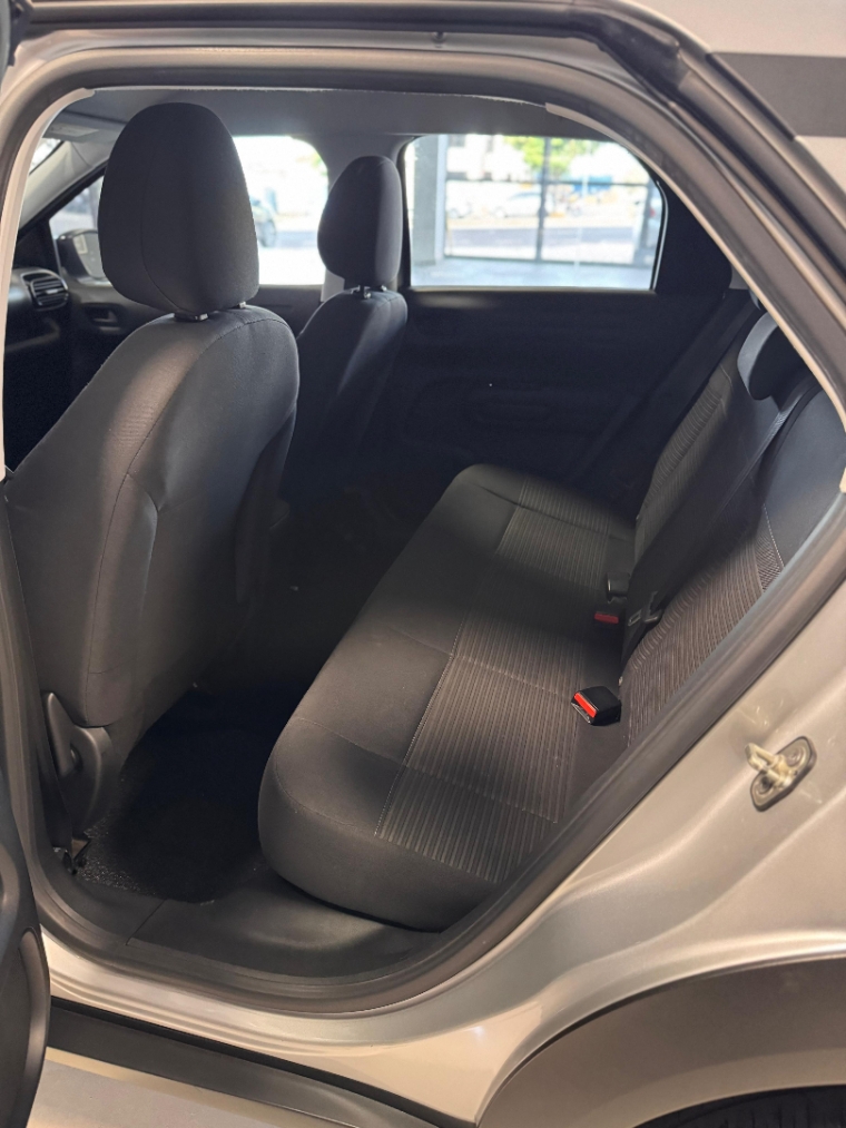 c4 cactus feel c4 cactus feel