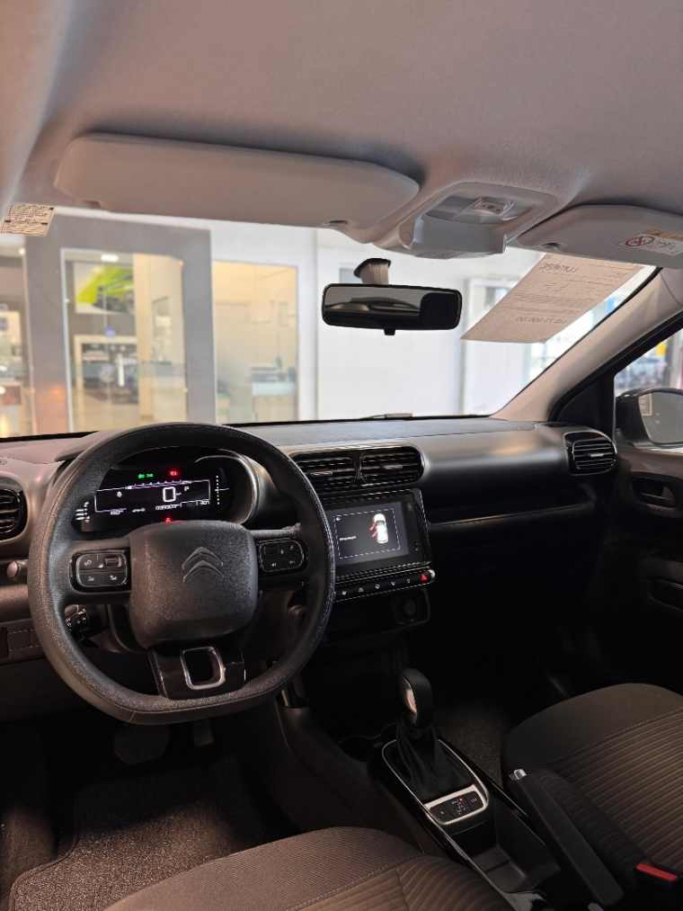 c4 cactus feel c4 cactus feel