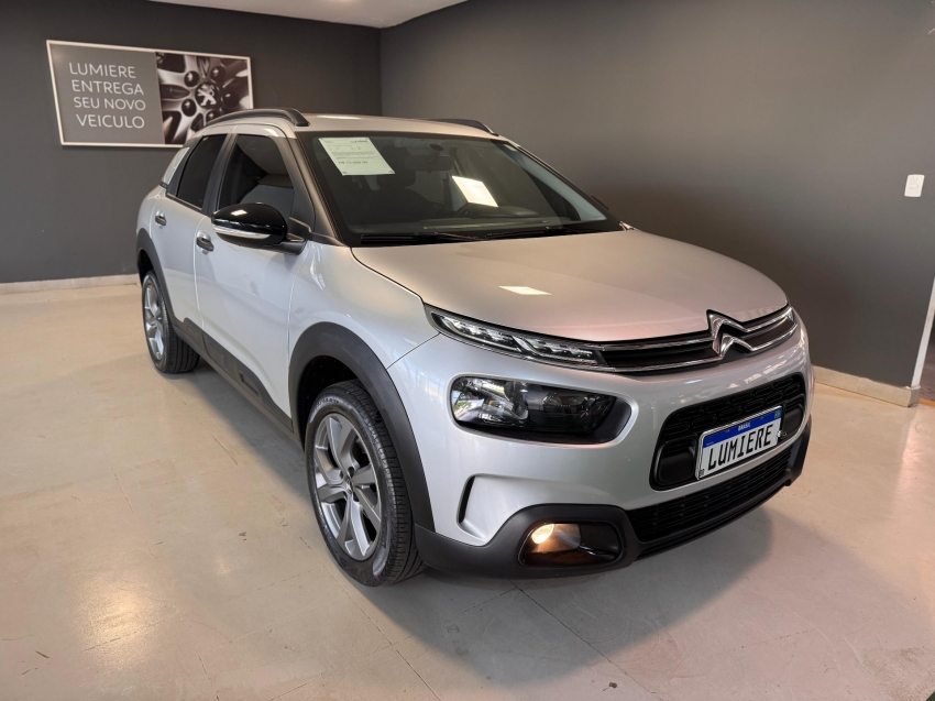 c4 cactus feel c4 cactus feel