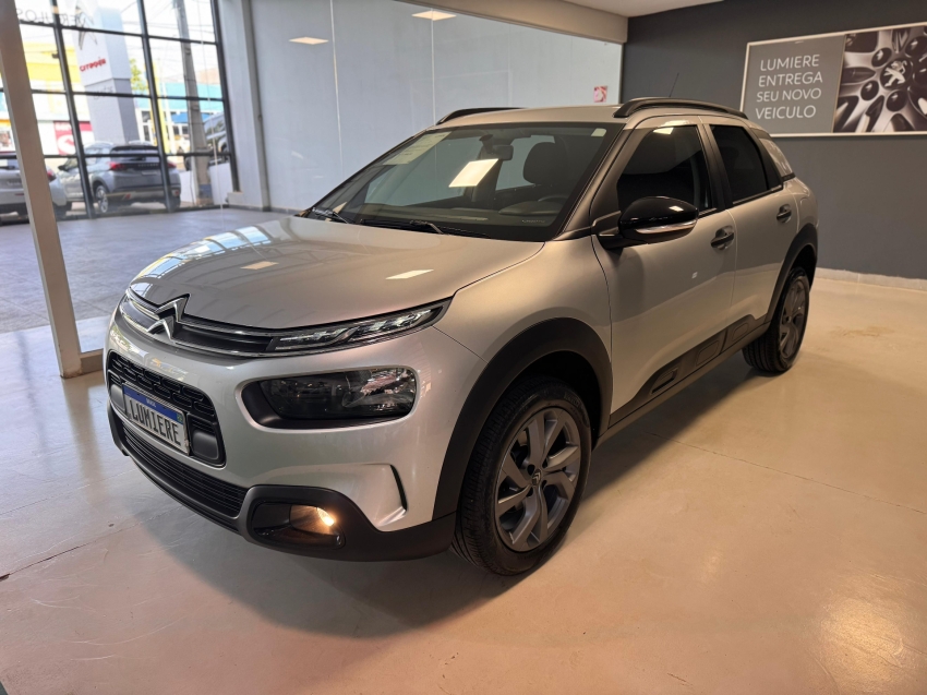 c4 cactus feel c4 cactus feel