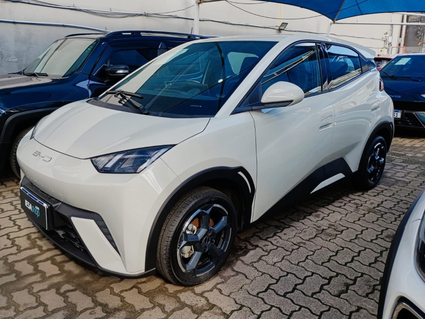 BYD Dolphin Mini     2025