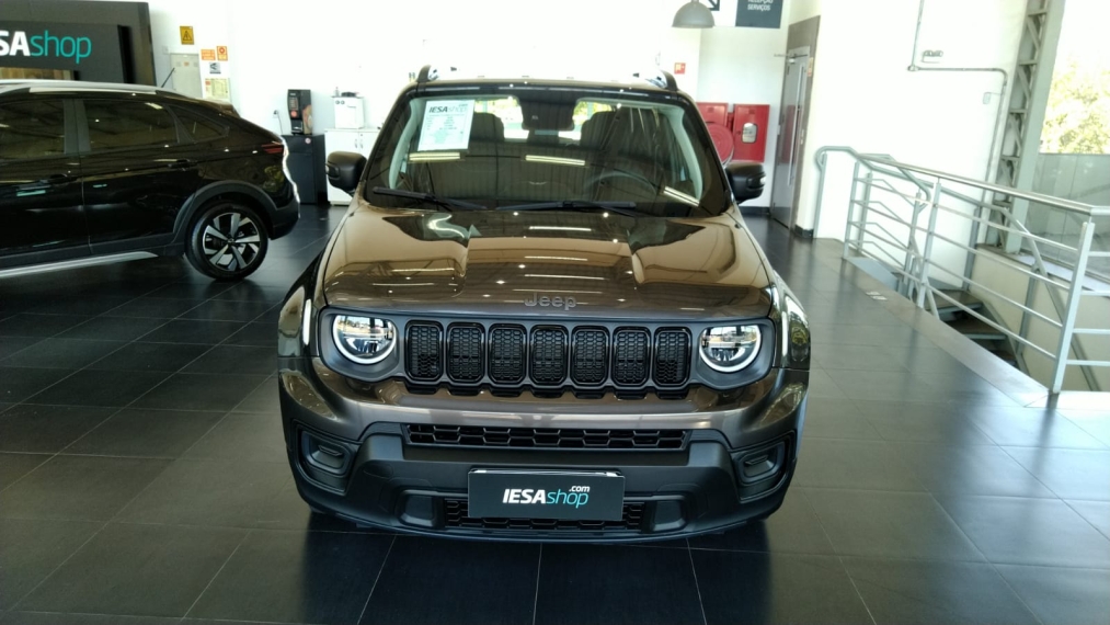 Jeep Renegade     2025