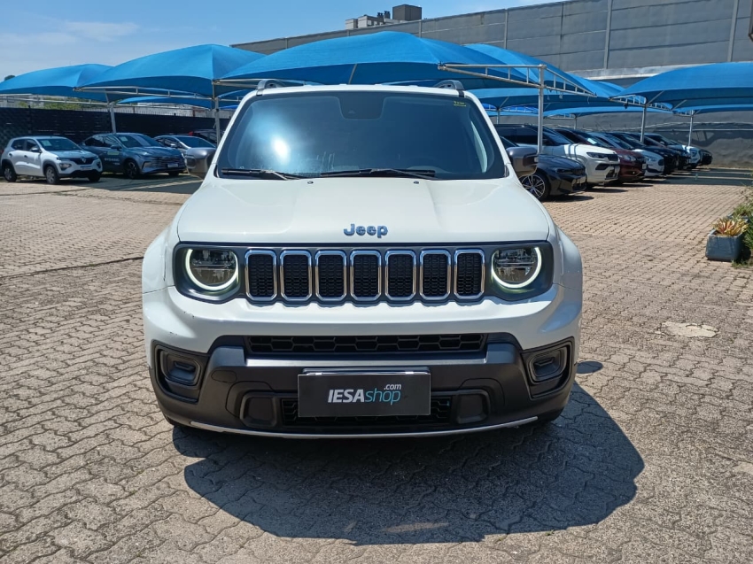 renegade 1.3 t270 turbo flex longitude at61