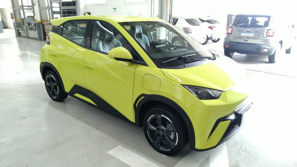 dolphin mini 38 kw eletrico