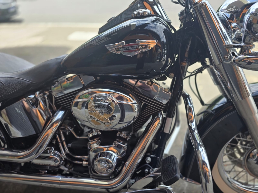 harley davidson deluxe softail flstn 1584 gasolina 1p manual 20124