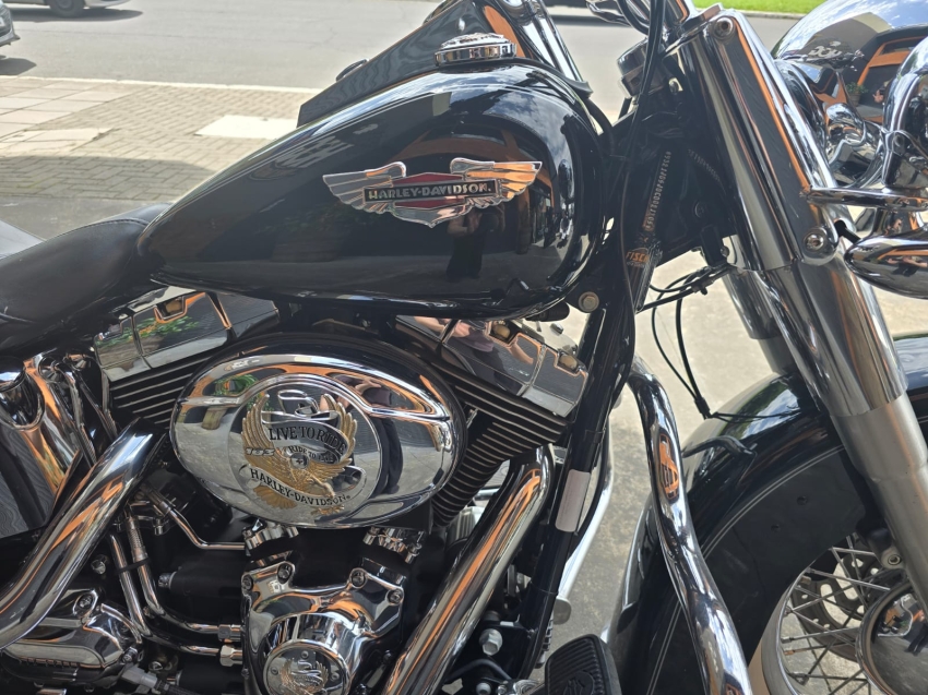 harley davidson deluxe softail flstn 1584 gasolina 1p manual 20123