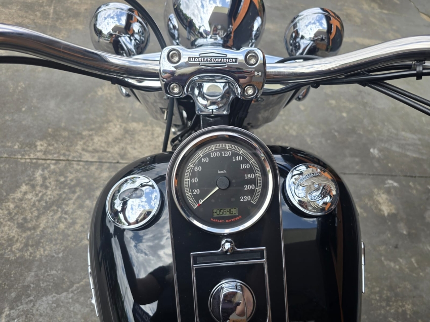 harley davidson deluxe softail flstn 1584 gasolina 1p manual 20127