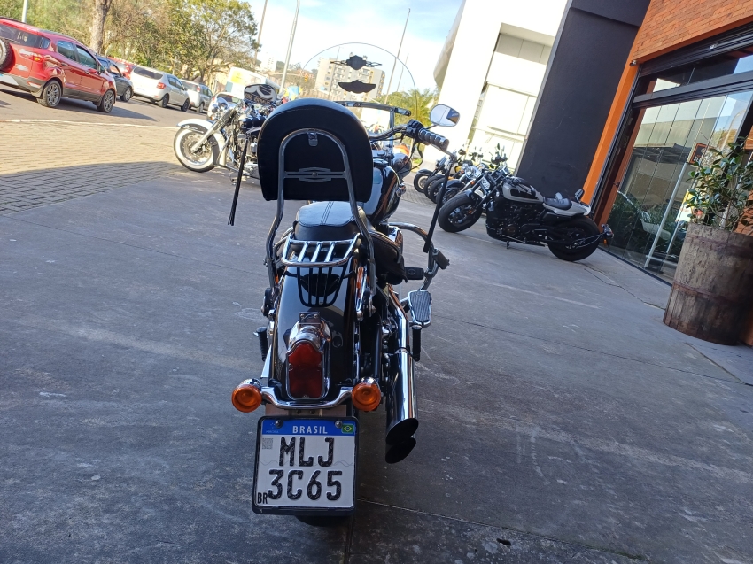 harley davidson flstc softail deluxe flstn 1584 gasolina 1p manual 2013