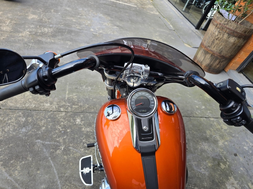 harley davidson sport glide 117 gasolina manual 2020