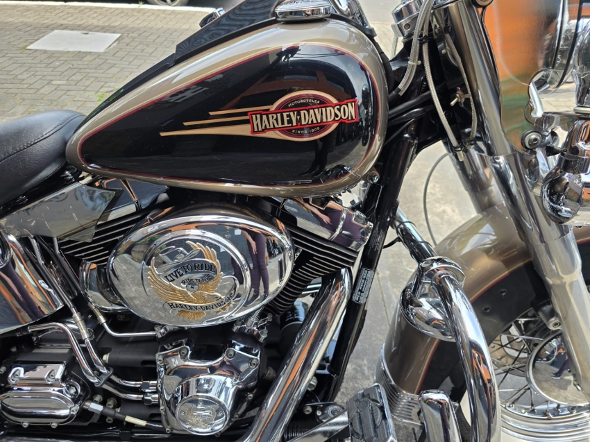 harley davidson heritage classic 1450 gasolina manual 20051