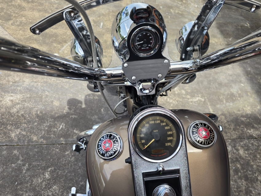 harley davidson heritage classic 1450 gasolina manual 20054