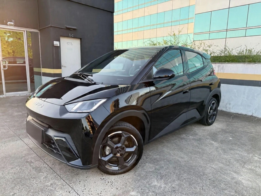 byd dolphin mini gs ev - imperdivel!!!1