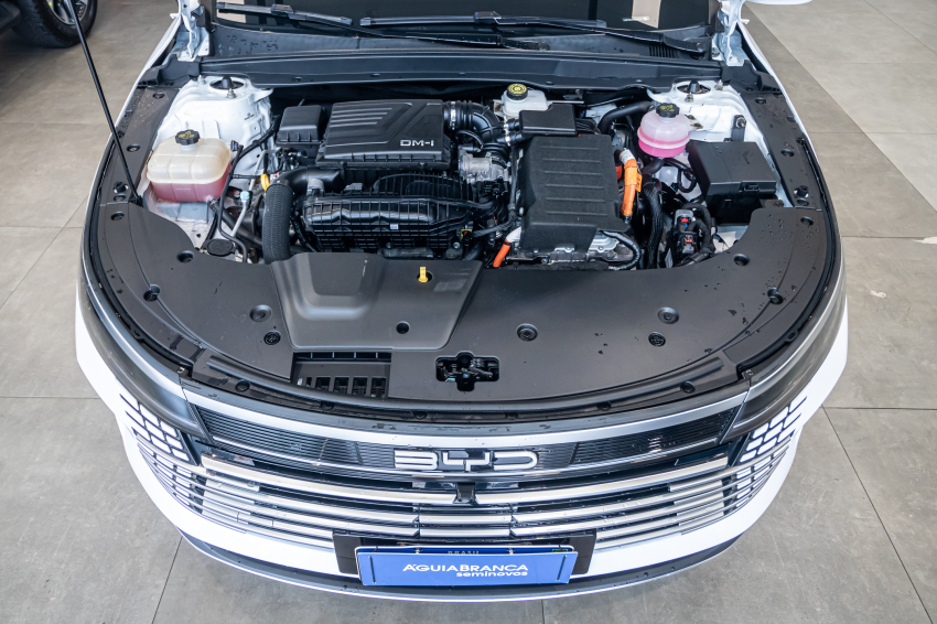BYD KING 1.5 DM-I PHEV GL AUTOMÁTICO 6