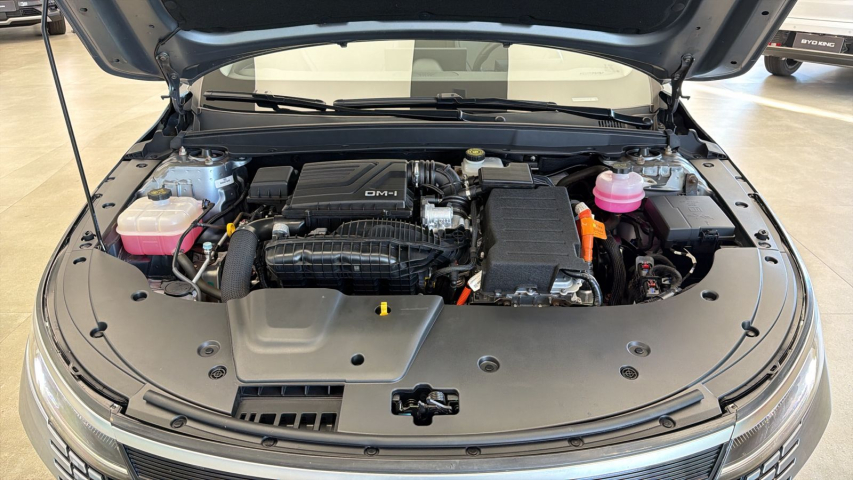 BYD KING 1.5 DM-I PHEV GL AUTOMÁTICO 5