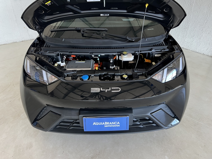 BYD DOLPHIN MINI 38 KW ELÉTRICO 6
