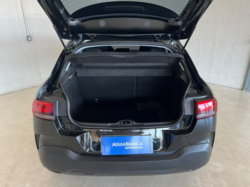 Citroen C4 CACTUS 1.6 VTI 120 FLEX FEEL EAT6 11