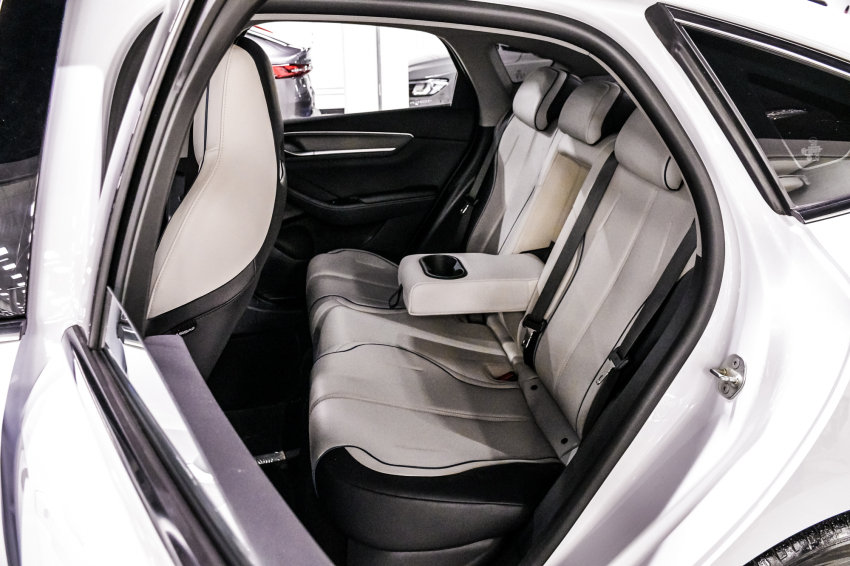 BYD KING 1.5 DM-I PHEV GS AUTOMÁTICO 19