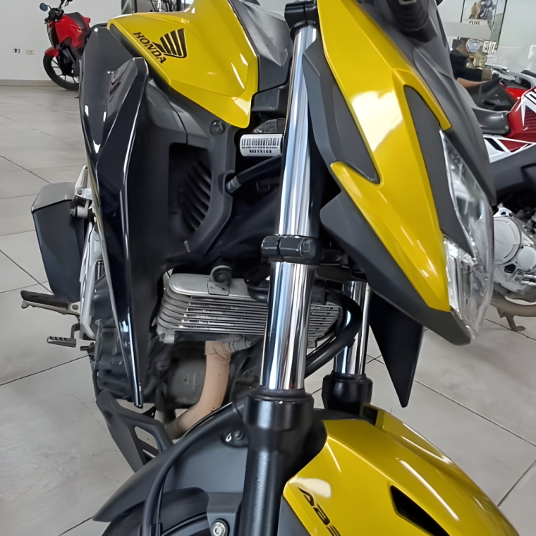 cb twister 300f (2024/2024)