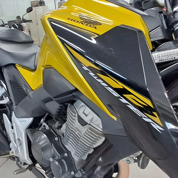 cb twister 300f (2024/2024)
