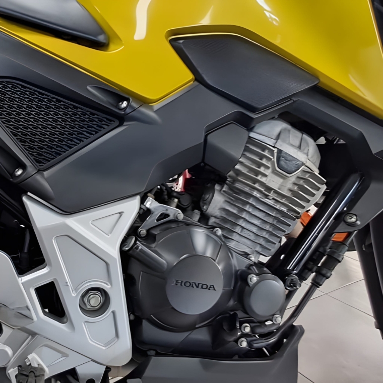 cb twister 300f (2024/2024)