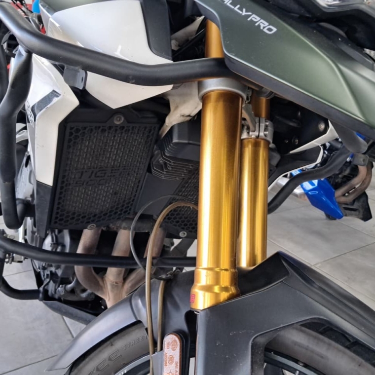 triumph tiger 900 rally (20/21)1