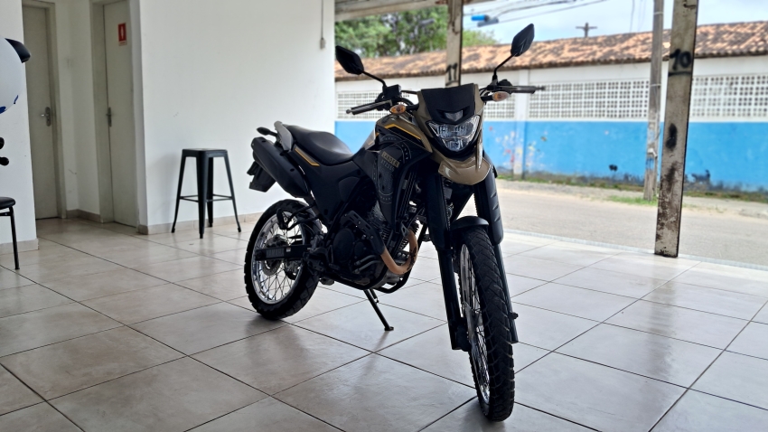 yamaha xtz250 lander (24/24)0