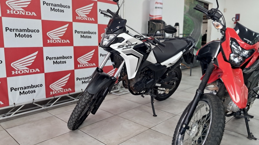 honda | xre sahara 300 std (2024/2024)0