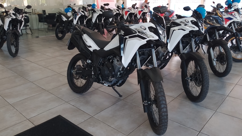 HONDA XRE 300 SAHARA STANDARD  (24/24) | OPORTUNIDA ÚNICA!0