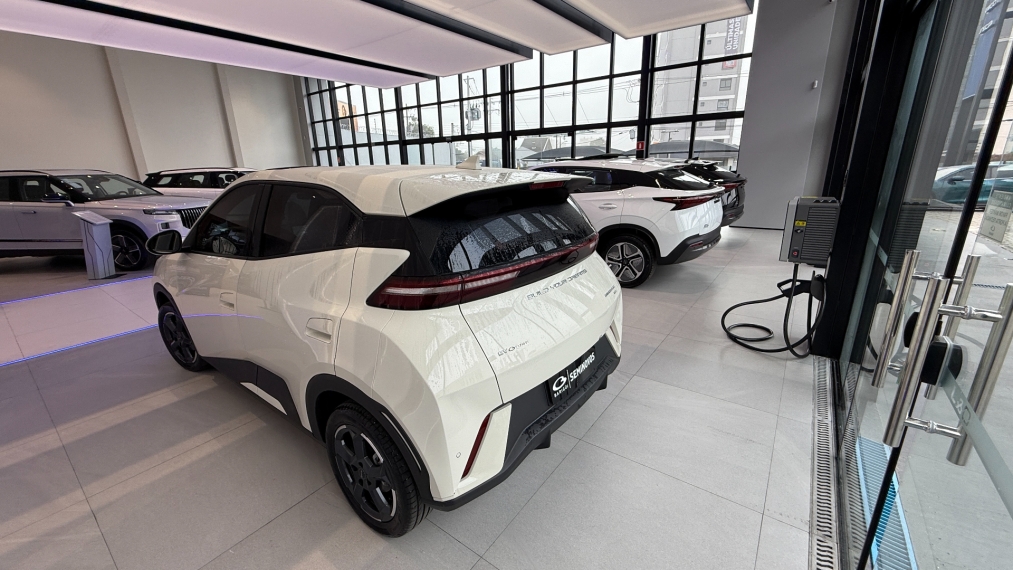 byd dolphin mini 38 kw eletrico 1.5 4p automatico 2025