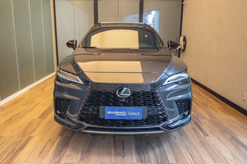 Lexus RX 500h 2.4 TURBO DUAL VVT-I HYBRID F-SPORT AWD AUTOMÁTICO 3