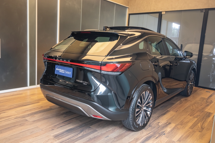Lexus RX 450H+ 2.5 PHEV AWD CVT 10