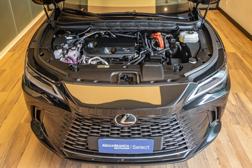 Lexus RX 450H+ 2.5 PHEV AWD CVT 6