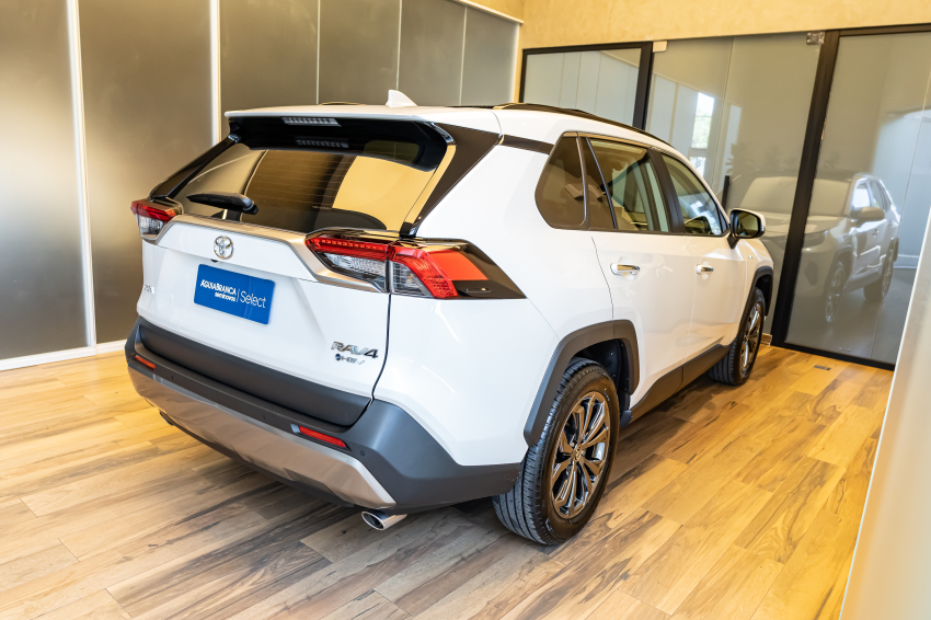 Toyota RAV4 2.5 VVT-IE HYBRID SX CONNECT AWD CVT 10