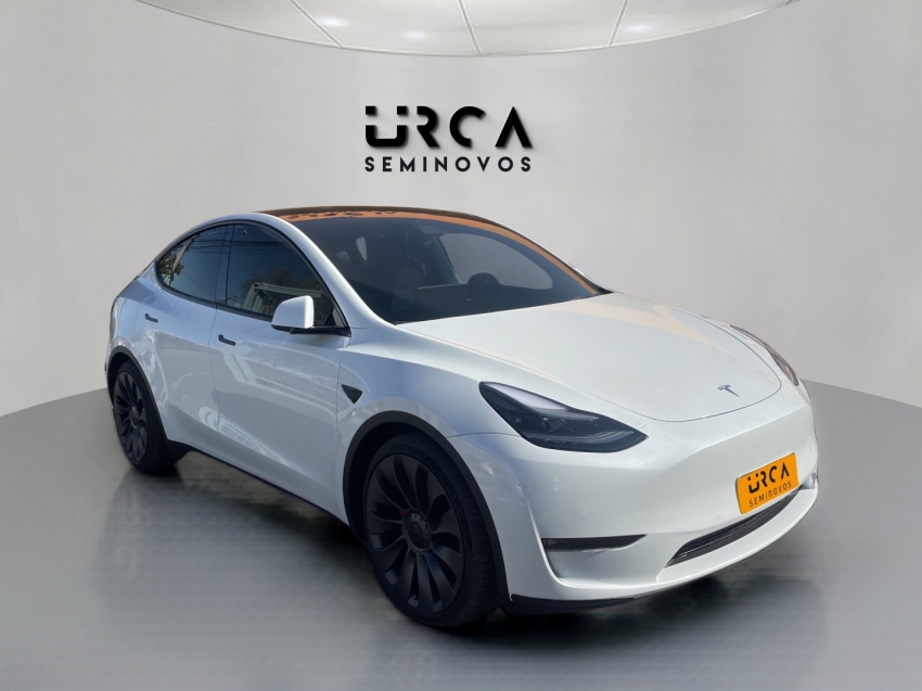 model y p100d long range performance awd eletrico