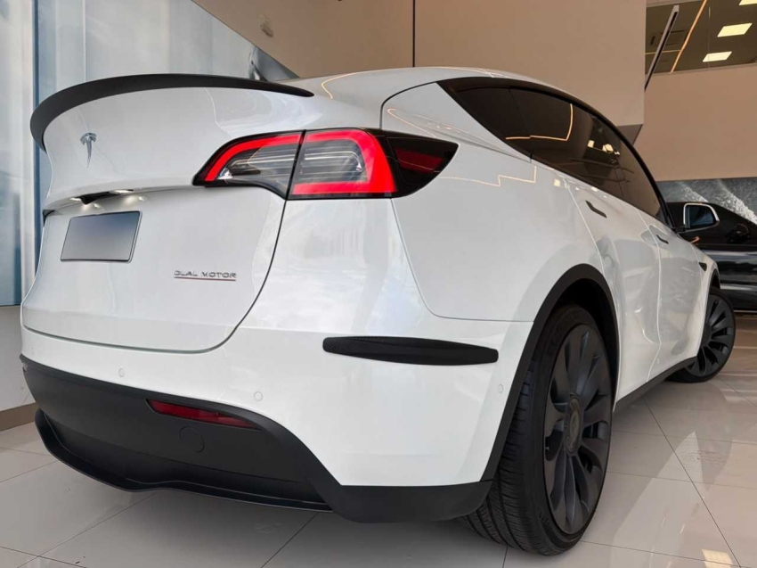 MODEL Y P100D LONG RANGE PERFORMANCE AWD ELETRICO3