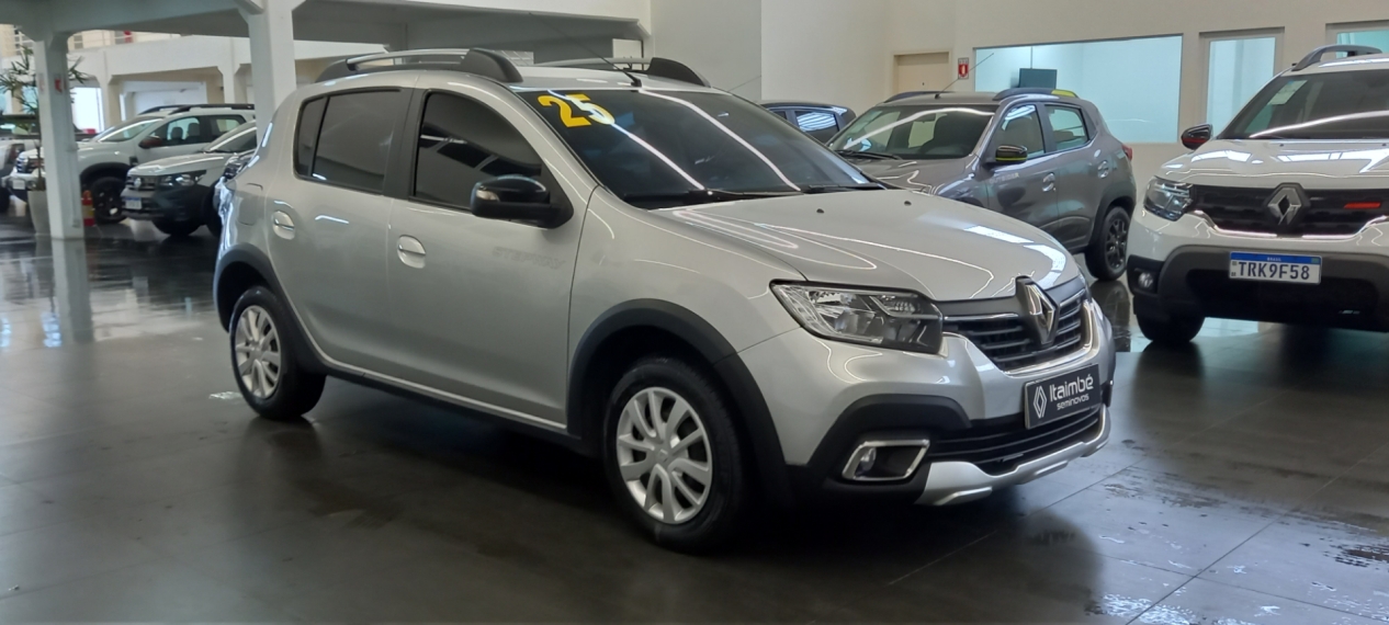 stepway zen 1.0 mt  24/250