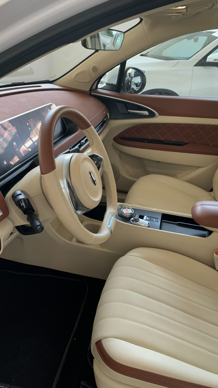 gwm ora 03 48 kw eletrico skin 1.6 4p automatico 20256