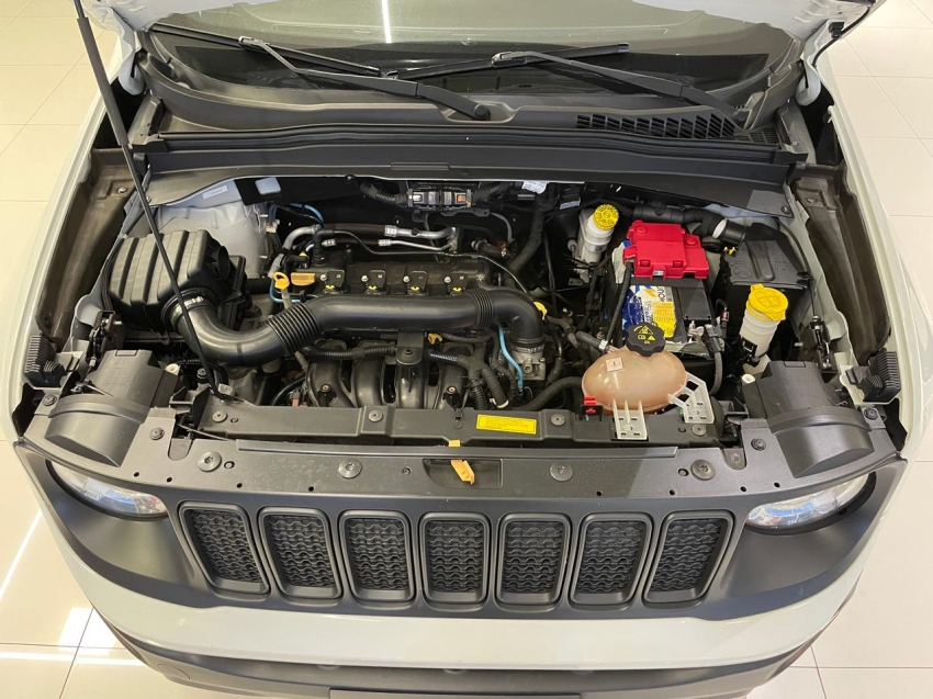 renegade 1.8 autom9