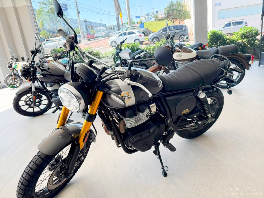 royal enfield bear 650 premium gasolina manual 20272