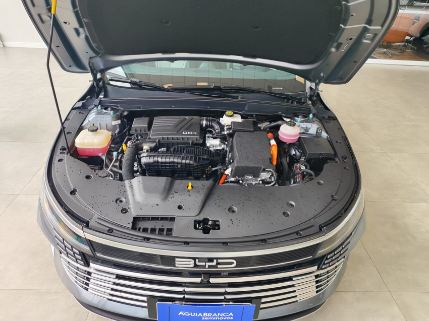 BYD KING 1.5 DM-I PHEV GL AUTOMÁTICO 5