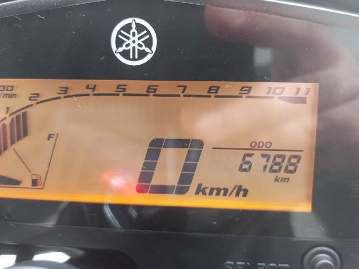 yamaha fz fz25 fazer 249 gasolina manual 20244